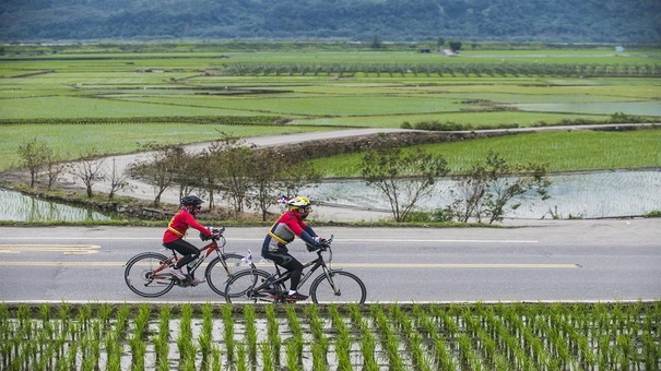 Mỗi giấc mơ sẽ mang một điềm báo riêng, báo hiệu chủ nhân của nó những điều có thể xảy ra trong tương lai. Đó có thể là những dự báo tốt, cũng có thể là dự báo xấu tùy theo từng chi tiết trong giấc mơ. Dưới đây là những luận giải về giấc mơ thấy xe đạp thường gặp cho bạn tham khảo . Hãy đến FIVE88 xổ số trực tuyến để biết thêm thông tin nhé .